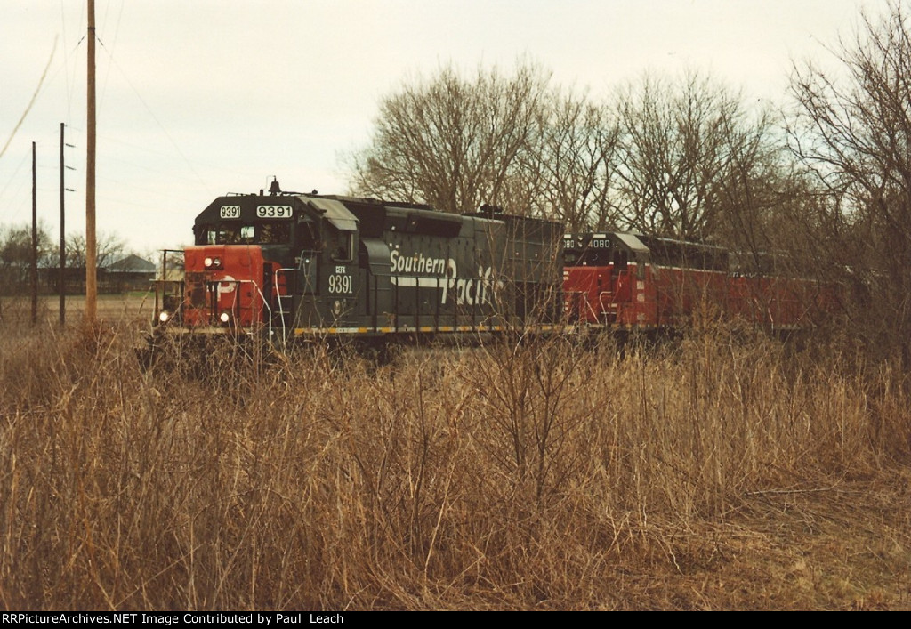 Tied down manifest north of the yard